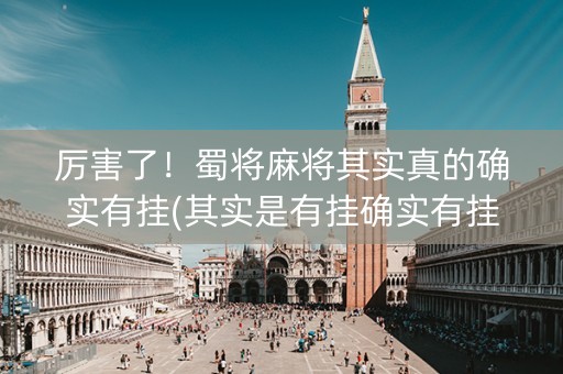 厉害了！蜀将麻将其实真的确实有挂(其实是有挂确实有挂)