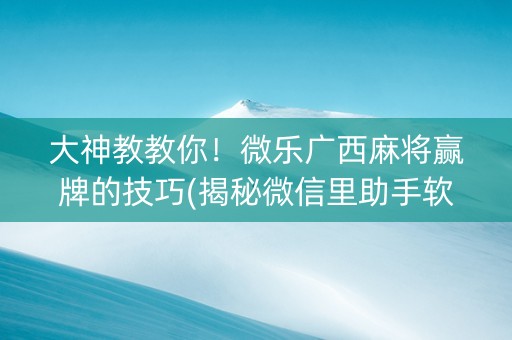 大神教教你！微乐广西麻将赢牌的技巧(揭秘微信里助手软件)