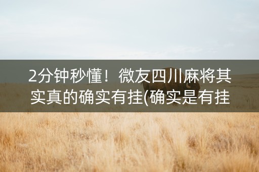 2分钟秒懂！微友四川麻将其实真的确实有挂(确实是有挂的)