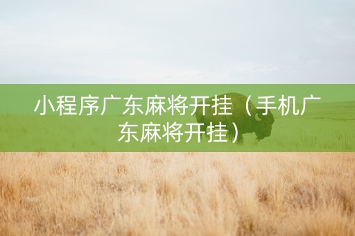 小程序广东麻将开挂（手机广东麻将开挂）