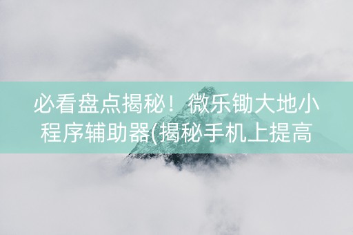 必看盘点揭秘！微乐锄大地小程序辅助器(揭秘手机上提高赢的概率)