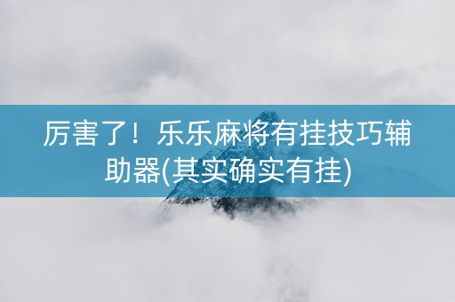 厉害了！乐乐麻将有挂技巧辅助器(其实确实有挂)