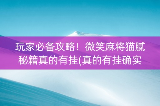 玩家必备攻略！微笑麻将猫腻秘籍真的有挂(真的有挂确实有挂)