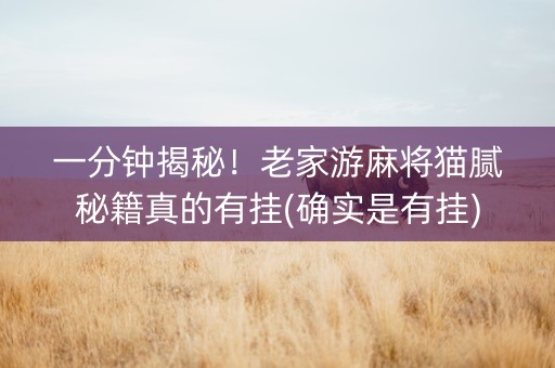 一分钟揭秘！老家游麻将猫腻秘籍真的有挂(确实是有挂)