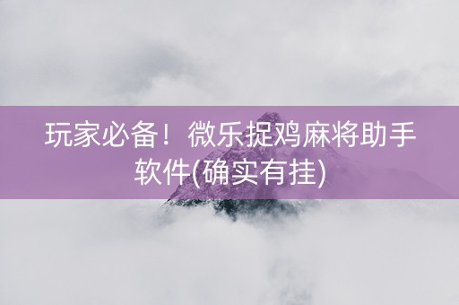 玩家必备！微乐捉鸡麻将助手软件(确实有挂)
