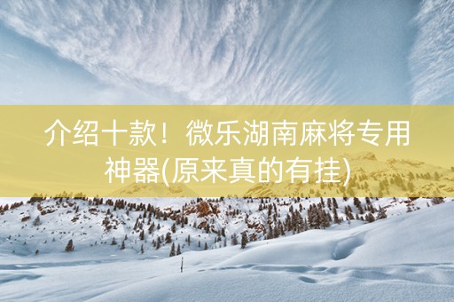 介绍十款！微乐湖南麻将专用神器(原来真的有挂)
