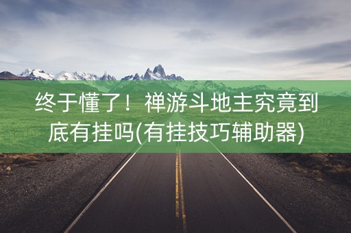 终于懂了！禅游斗地主究竟到底有挂吗(有挂技巧辅助器)
