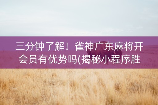 三分钟了解！雀神广东麻将开会员有优势吗(揭秘小程序胜率到哪调)