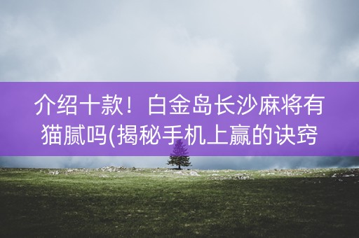 介绍十款！白金岛长沙麻将有猫腻吗(揭秘手机上赢的诀窍)