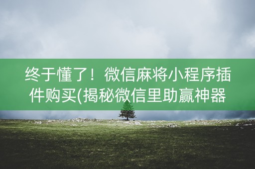 终于懂了！微信麻将小程序插件购买(揭秘微信里助赢神器)
