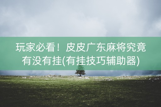 玩家必看！皮皮广东麻将究竟有没有挂(有挂技巧辅助器)
