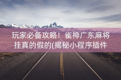 玩家必备攻略！雀神广东麻将挂真的假的(揭秘小程序插件免费)
