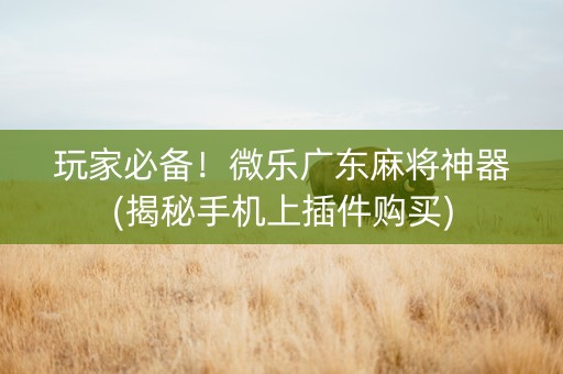 玩家必备！微乐广东麻将神器(揭秘手机上插件购买)