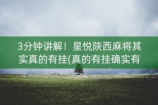 3分钟讲解！星悦陕西麻将其实真的有挂(真的有挂确实有挂)