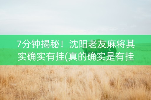 7分钟揭秘！沈阳老友麻将其实确实有挂(真的确实是有挂)