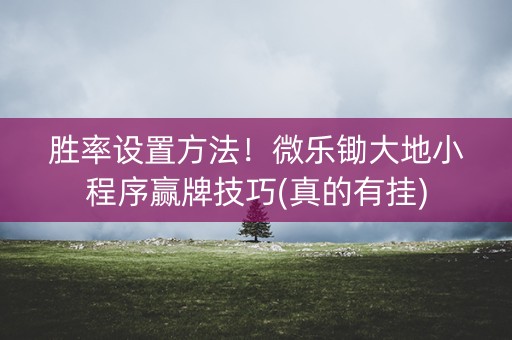 胜率设置方法！微乐锄大地小程序赢牌技巧(真的有挂)