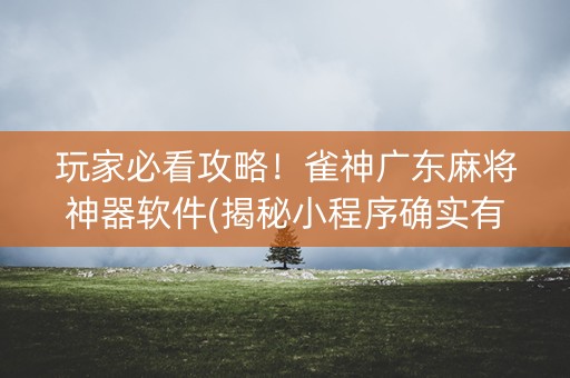 玩家必看攻略！雀神广东麻将神器软件(揭秘小程序确实有猫腻)