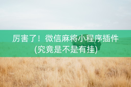 厉害了！微信麻将小程序插件(究竟是不是有挂)