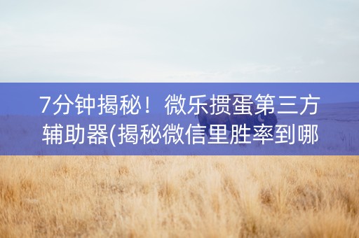 7分钟揭秘！微乐掼蛋第三方辅助器(揭秘微信里胜率到哪调)