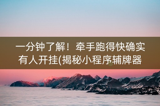 一分钟了解！牵手跑得快确实有人开挂(揭秘小程序辅牌器)