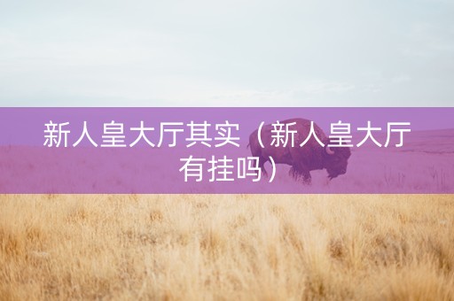 新人皇大厅其实（新人皇大厅有挂吗）