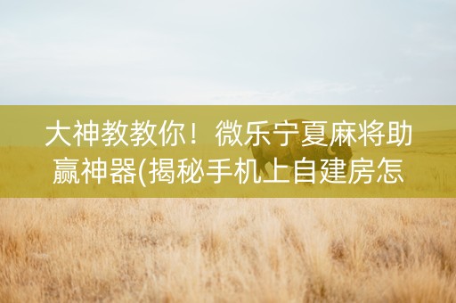 大神教教你！微乐宁夏麻将助赢神器(揭秘手机上自建房怎么赢)