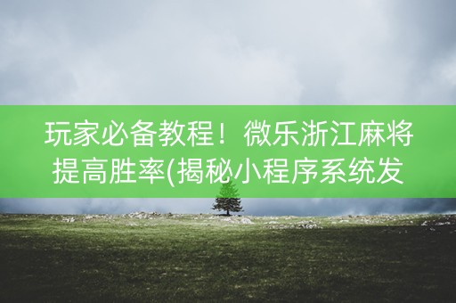 玩家必备教程！微乐浙江麻将提高胜率(揭秘小程序系统发好牌)