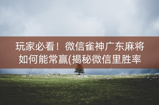 玩家必看！微信雀神广东麻将如何能常赢(揭秘微信里胜率到哪调)