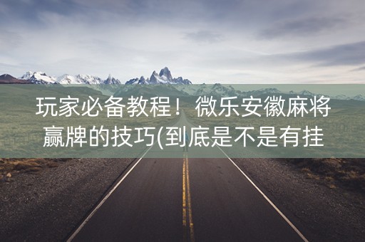 玩家必备教程！微乐安徽麻将赢牌的技巧(到底是不是有挂)