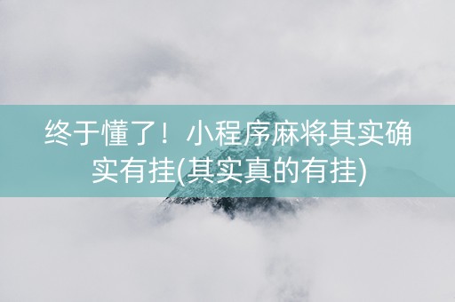 终于懂了！小程序麻将其实确实有挂(其实真的有挂)