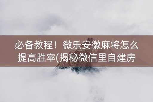 必备教程！微乐安徽麻将怎么提高胜率(揭秘微信里自建房怎么赢)