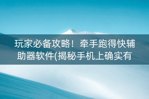 玩家必备攻略！牵手跑得快辅助器软件(揭秘手机上确实有猫腻)