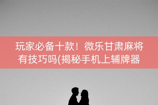 玩家必备十款！微乐甘肃麻将有技巧吗(揭秘手机上辅牌器)