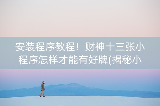 安装程序教程！财神十三张小程序怎样才能有好牌(揭秘小程序插件免费)