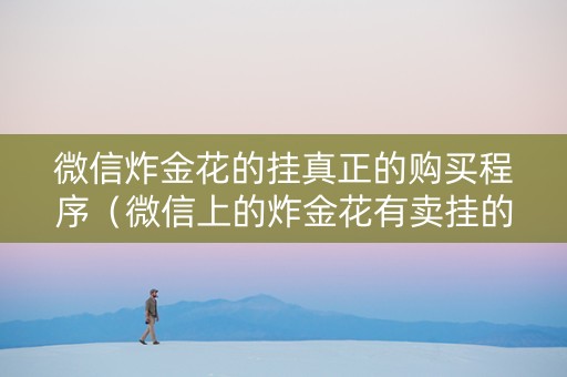 微信炸金花的挂真正的购买程序（微信上的炸金花有卖挂的吗）