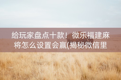 给玩家盘点十款！微乐福建麻将怎么设置会赢(揭秘微信里赢的秘诀)