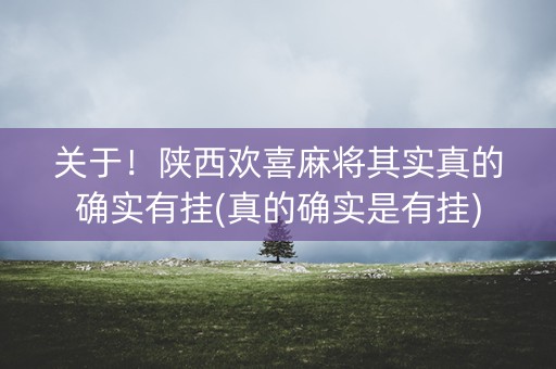 关于！陕西欢喜麻将其实真的确实有挂(真的确实是有挂)