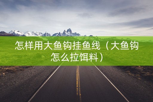 怎样用大鱼钩挂鱼线（大鱼钩怎么拉饵料）