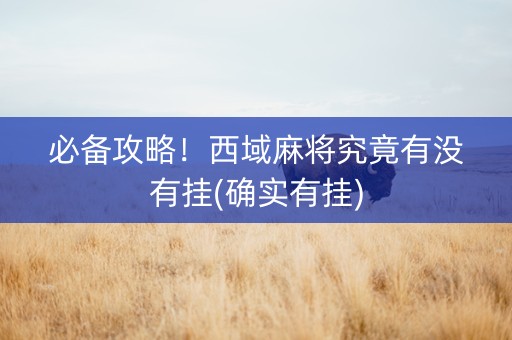 必备攻略！西域麻将究竟有没有挂(确实有挂)