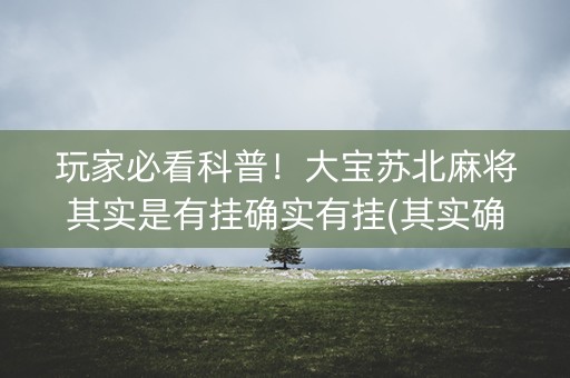 玩家必看科普！大宝苏北麻将其实是有挂确实有挂(其实确实有挂)
