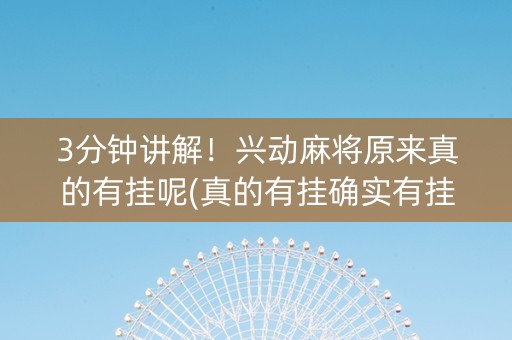 3分钟讲解！兴动麻将原来真的有挂呢(真的有挂确实有挂)