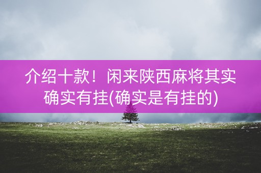 介绍十款！闲来陕西麻将其实确实有挂(确实是有挂的)