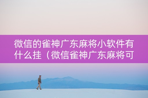微信的雀神广东麻将小软件有什么挂（微信雀神广东麻将可以开挂吗）