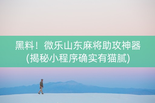 黑料！微乐山东麻将助攻神器(揭秘小程序确实有猫腻)