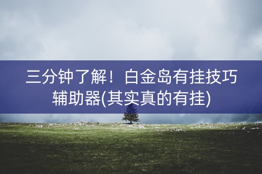 三分钟了解！白金岛有挂技巧辅助器(其实真的有挂)