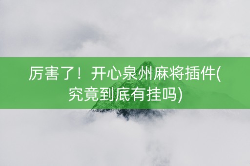 厉害了！开心泉州麻将插件(究竟到底有挂吗)