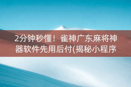 2分钟秒懂！雀神广东麻将神器软件先用后付(揭秘小程序赢牌技巧)