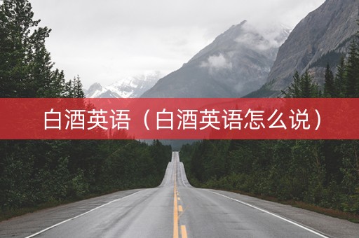 白酒英语（白酒英语怎么说）