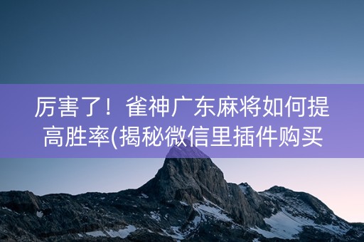 厉害了！雀神广东麻将如何提高胜率(揭秘微信里插件购买)