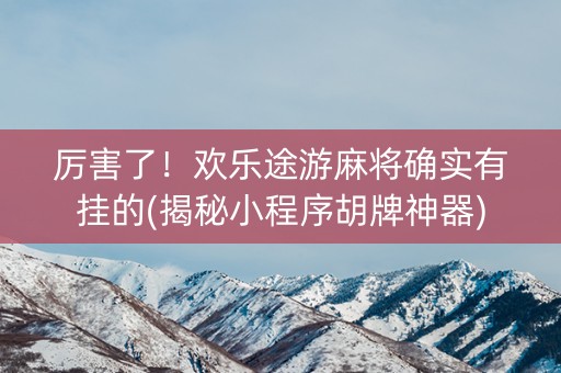 厉害了！欢乐途游麻将确实有挂的(揭秘小程序胡牌神器)